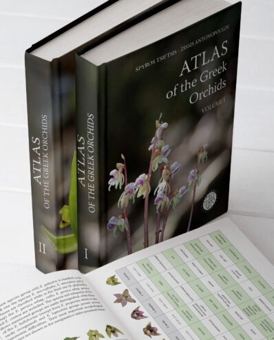 atlas of the greek orchids
