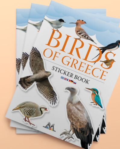 birds of greece, sticker book