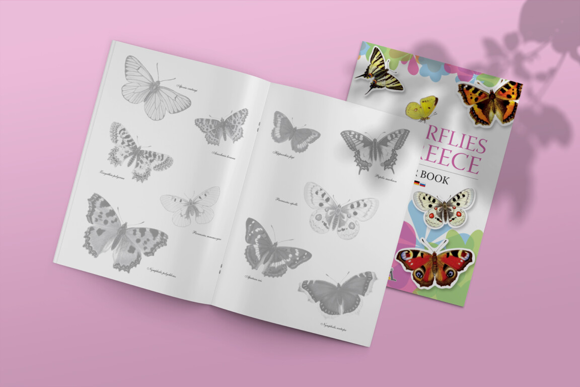 butterflies of greece sticker book
