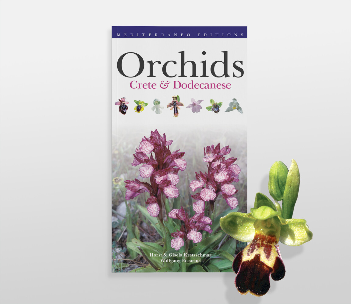 orchids crete & dodekanese