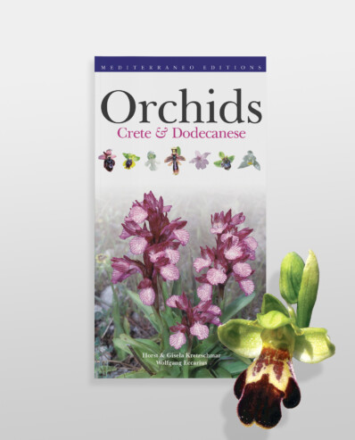 orchids crete & dodekanese