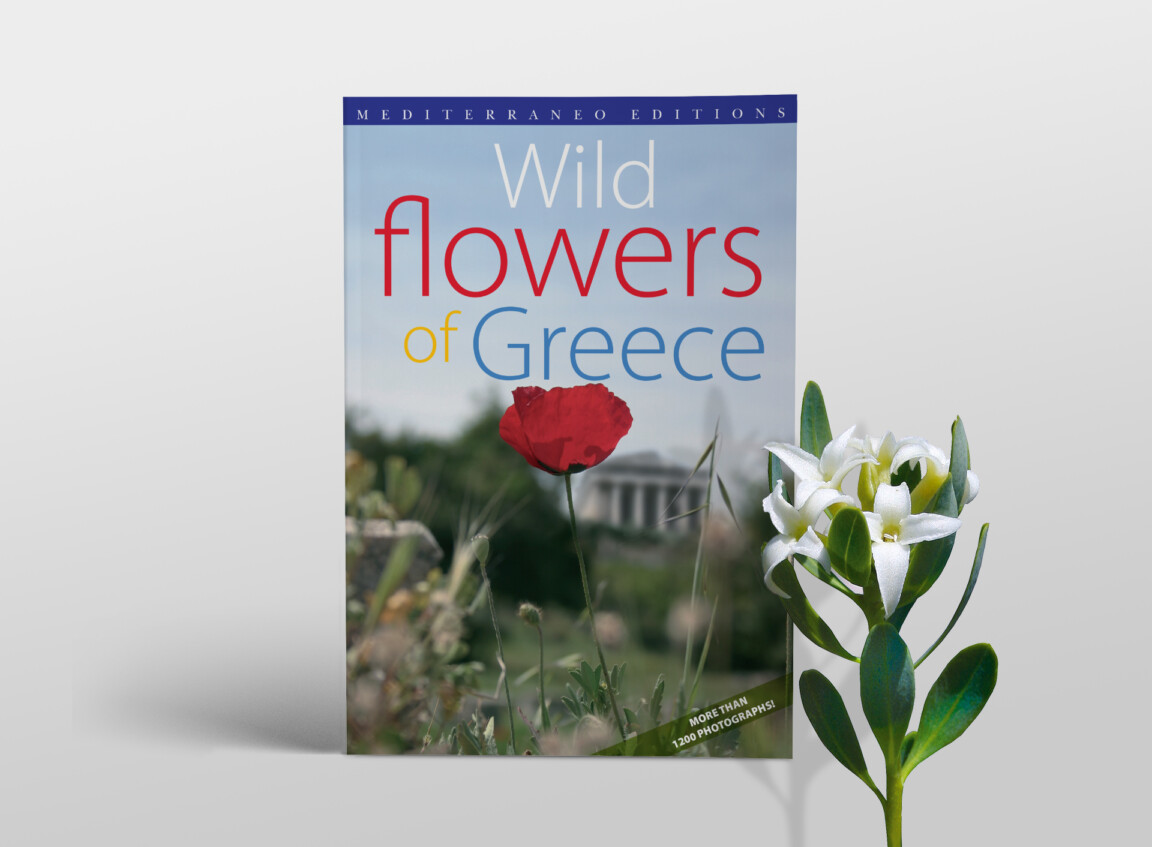 wild flowers of greece