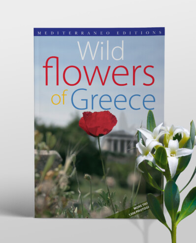 wild flowers of greece