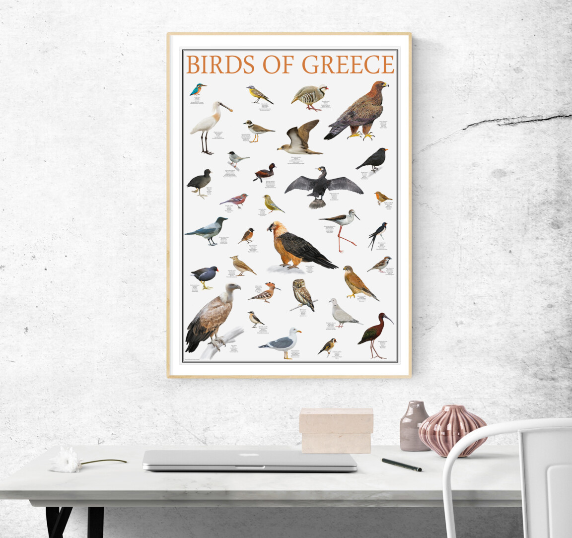birds of greece