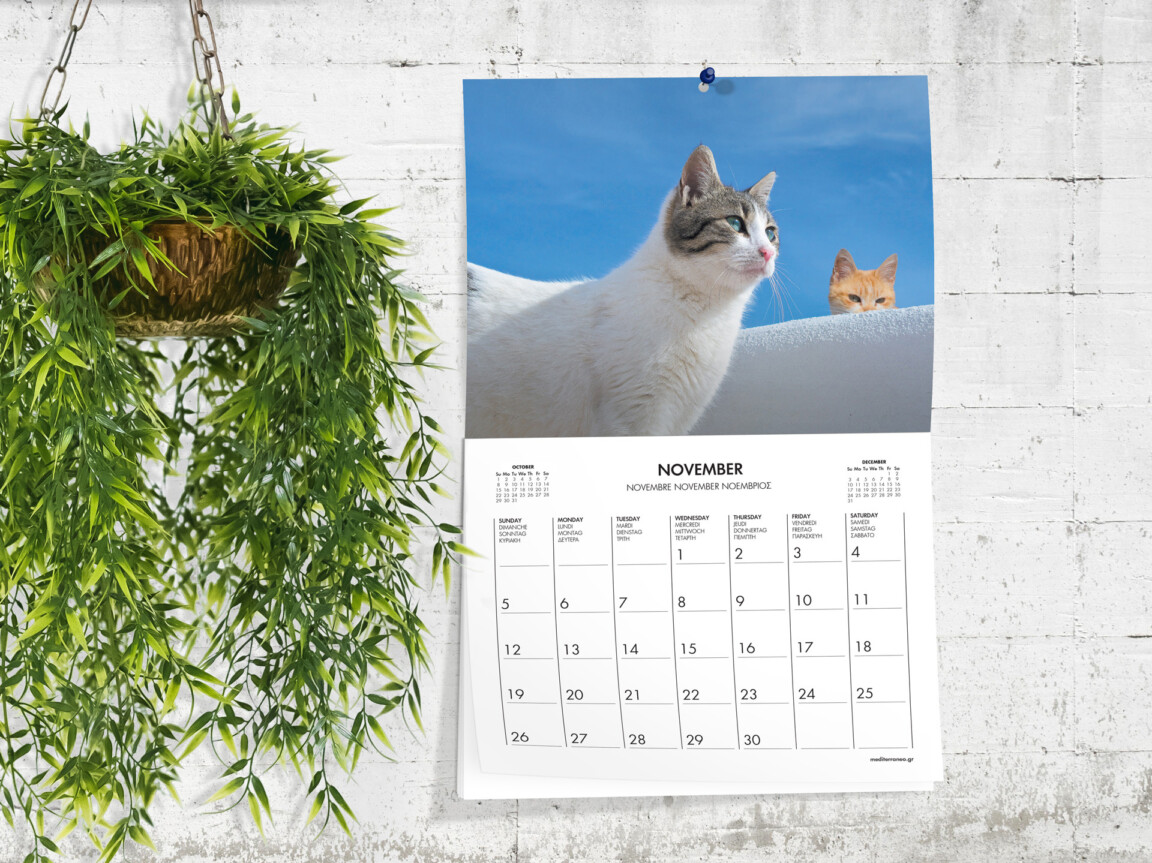 Hanging November cat-themed calendar on white wall.