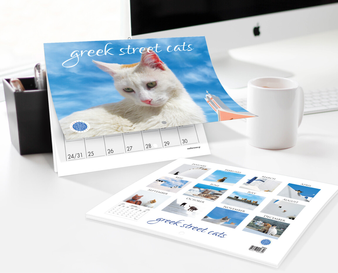 Office desk with Greek street cats calendar.