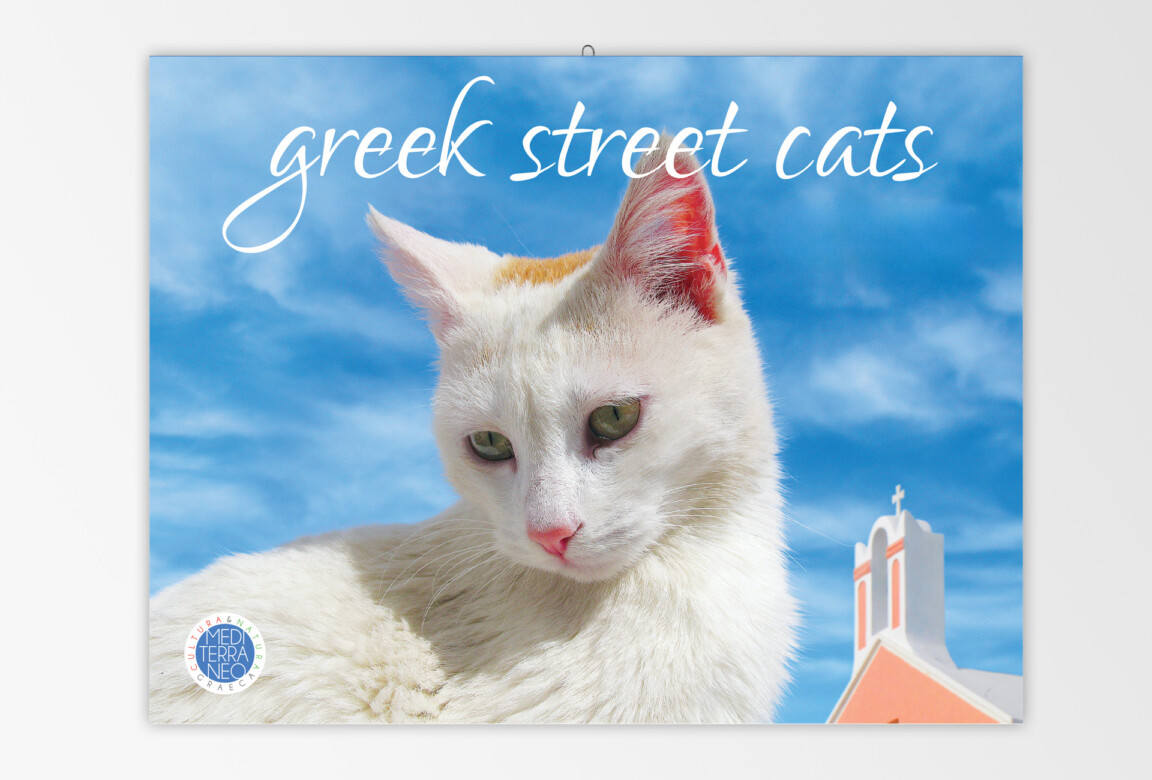 White cat with Greek church background.