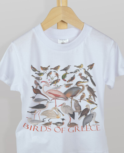 kids t shirt birds of greece
