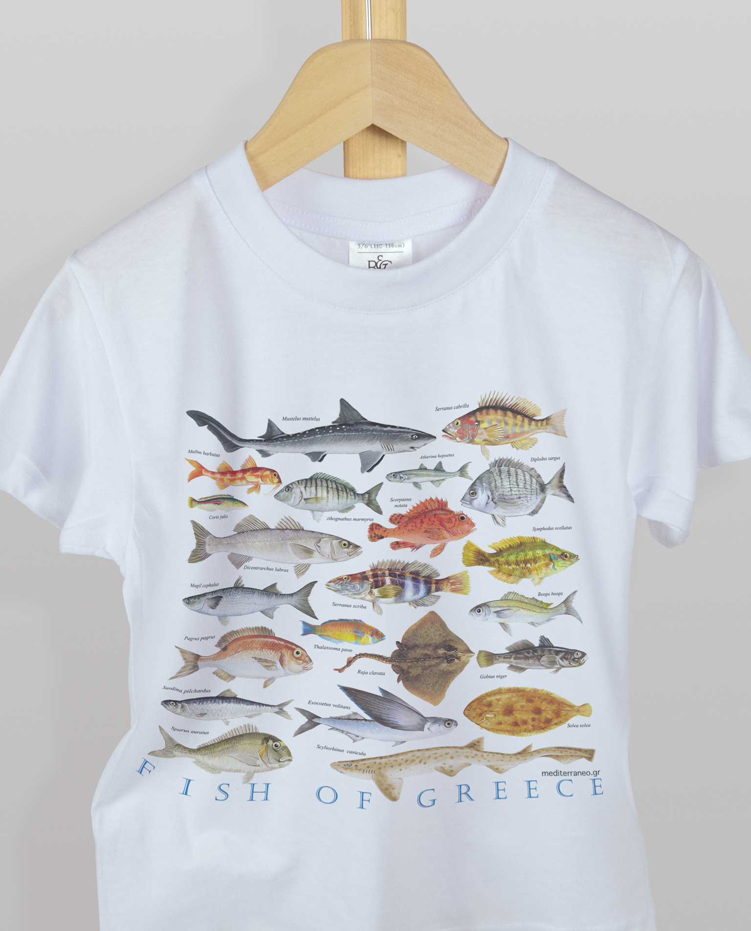 Kids T-shirt with fish of Greece print by Mediterraneo