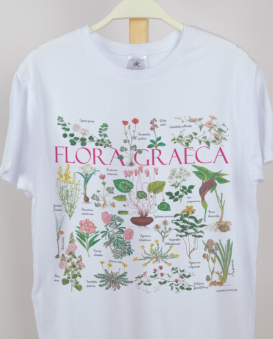 men t shirt (unisex) flora graeca