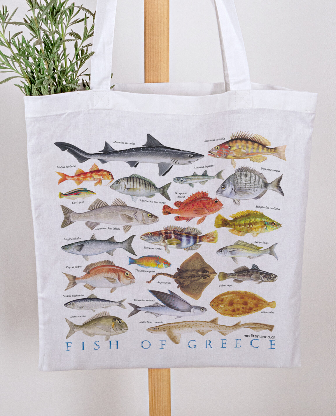 Cotton bag with Fish of Greece print by Mediterraneo