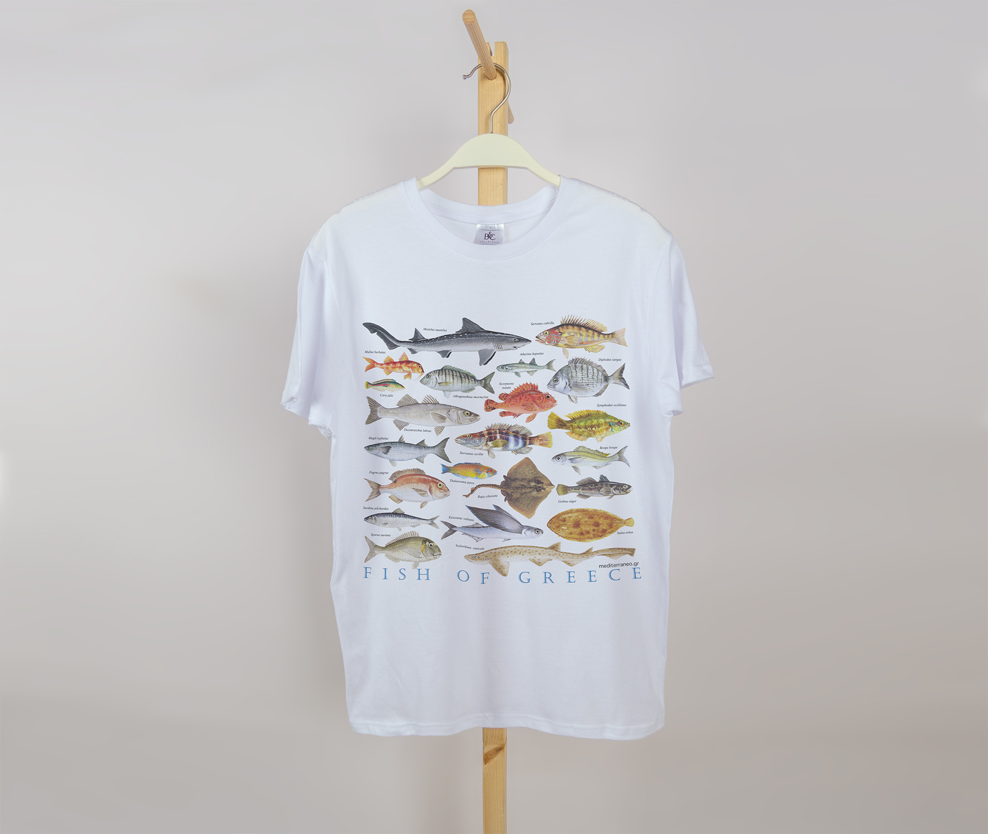 Men cotton T-shirt with fish of Greece print by Mediterraneo
