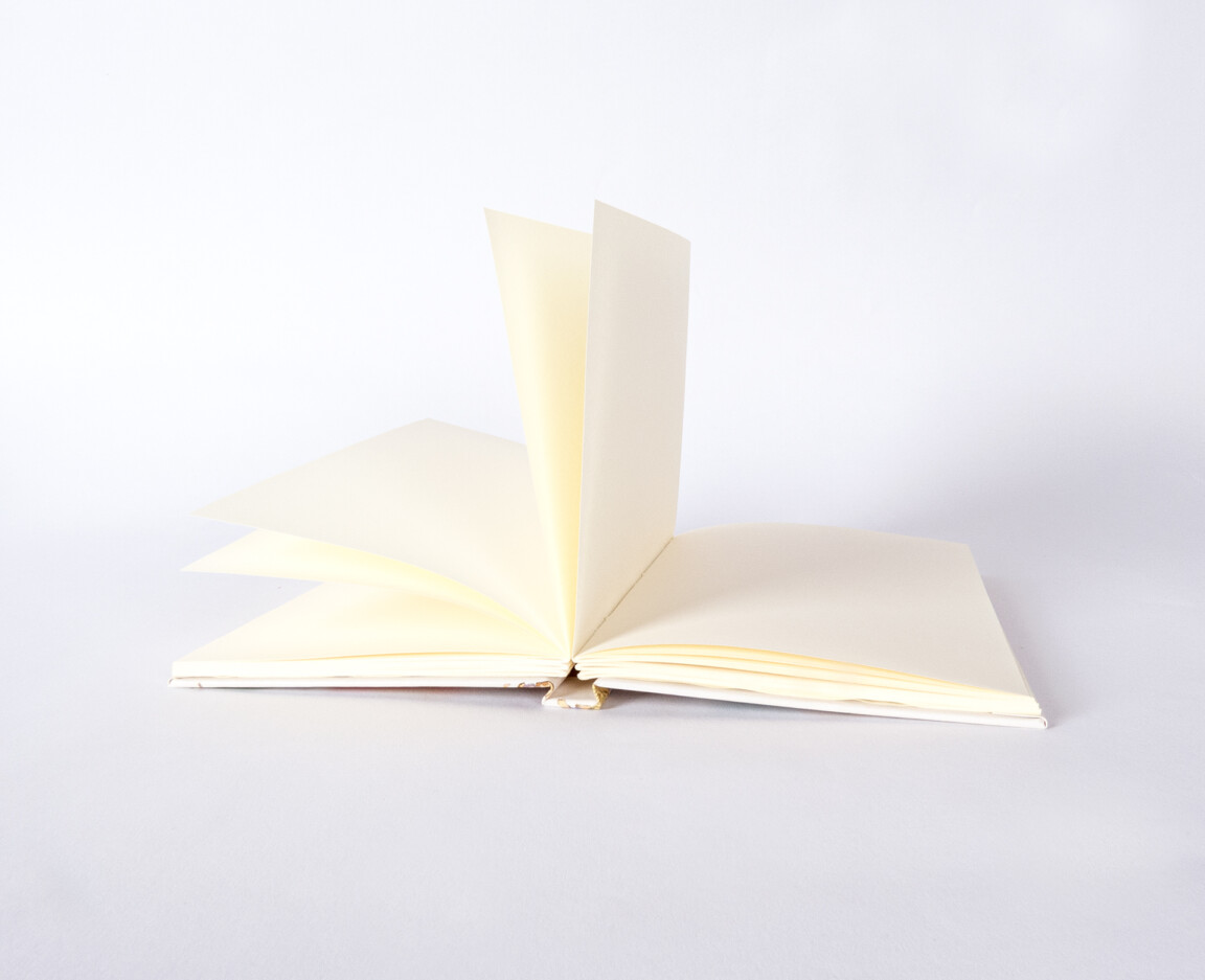 Open blank book on white background