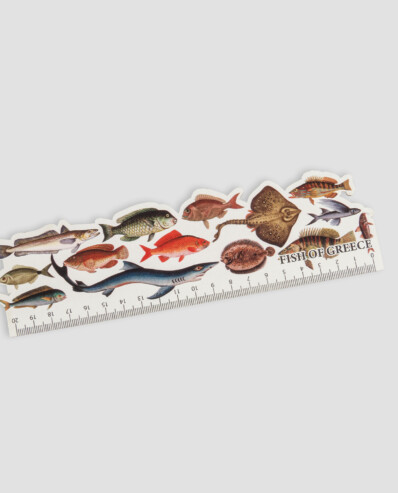 Colorful illustrated Greek fish species with ruler.
