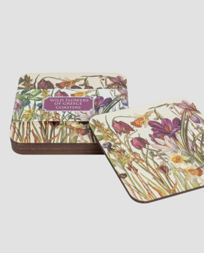 Floral coasters with wildflowers design and packaging.