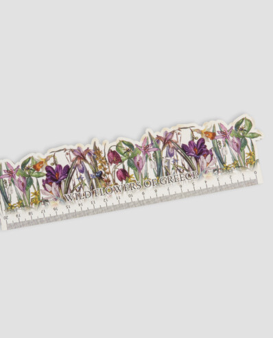 Ruler with wildflowers of Greece illustration