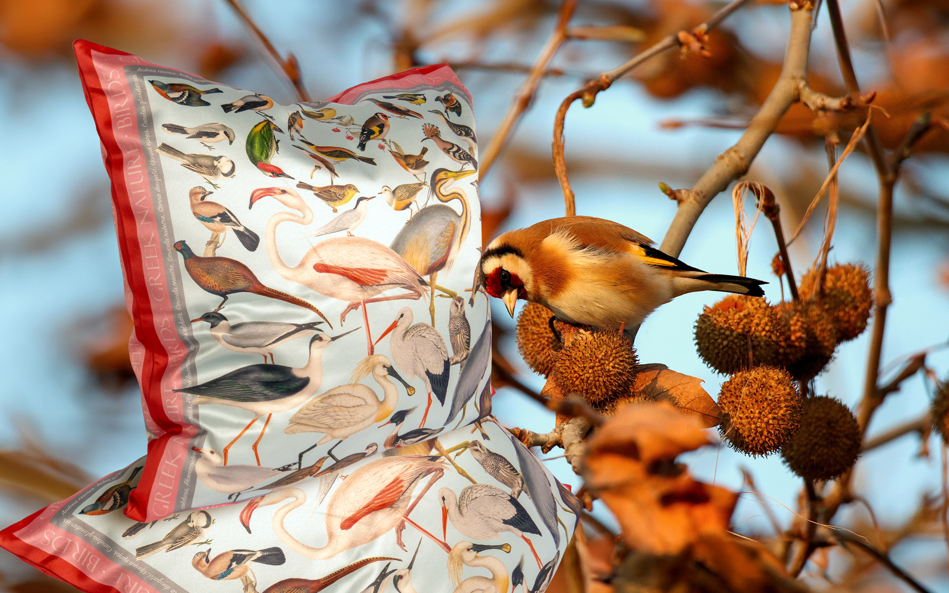 Bird perched beside bird-patterned pillow outdoors.